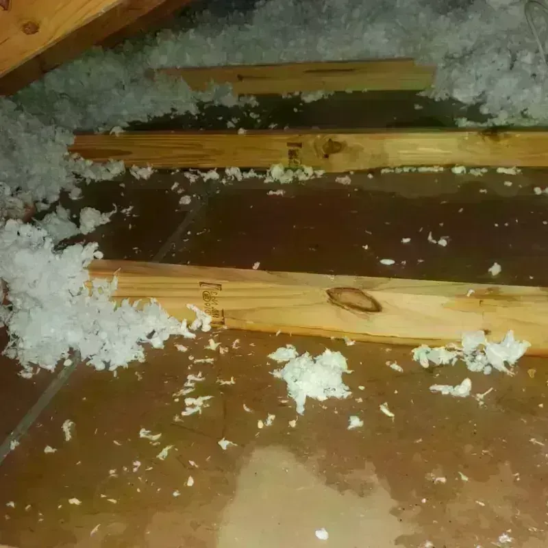 Attic Water Damage in Gunnison, UT